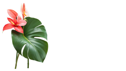 Tropical flowers, banana palm leaf, orchid, anthurium flower isolated white background watercolor botanical illustration, Generative AI