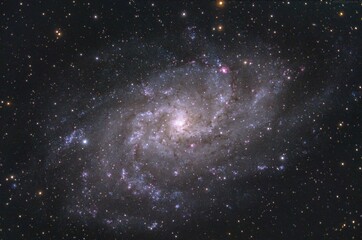 M33