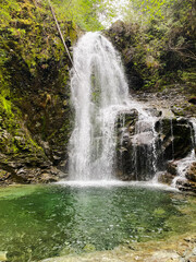 Obraz premium Beauty natural waterfall in the forest