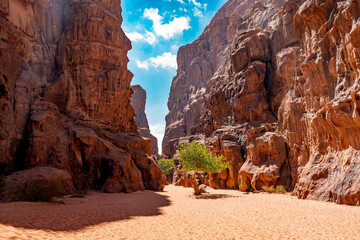 red canyon in the desert