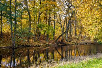 Autumnal landscape with golden trees by the water's edge.  Reflection in water.