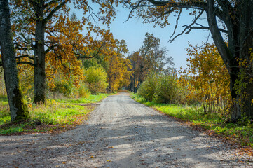 Country road through the field and forest. Autumn landscape, rural scene. Weekend getaway, remote places.