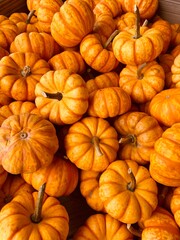 Pile of Pumpkins