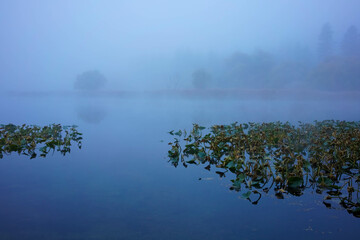 Fish Lake Fall