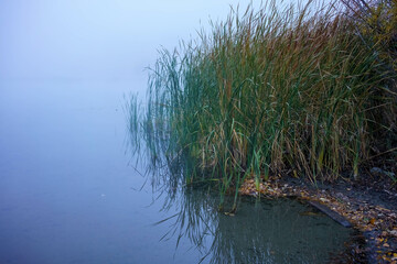 Fish Lake Fall