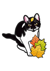 Autumn cat