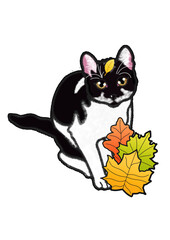 Autumn cat