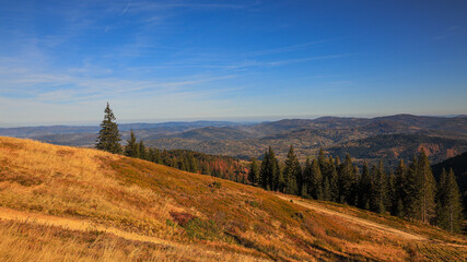 Obraz premium The trail to the Pilsko mountain from the Glinne pass. The season of autumn, called the 