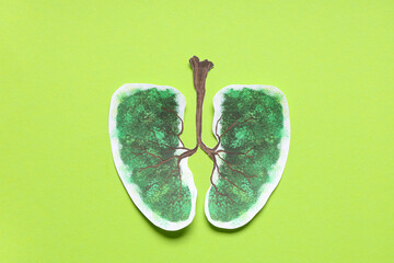 Drawn paper lungs on green background