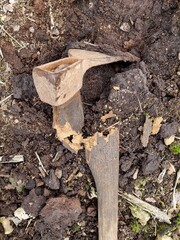 Breakage due to woodworm infestation on a hoe