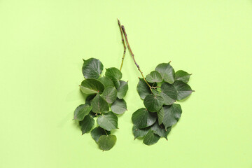 Tree branches with leaves in shape of lungs on green background
