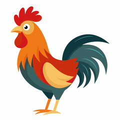 rooster isolated on white background