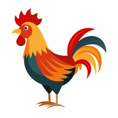 rooster isolated on white background