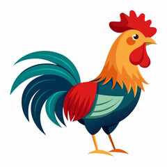 rooster isolated on white