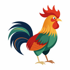 rooster isolated on white