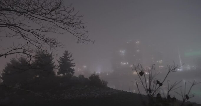 trees in the fog with the cityscape in the background