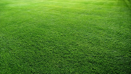 wide format background image of green carpet of neatly trimmed grass beautiful grass texture on bright green mowed lawn field grassplot in nature
