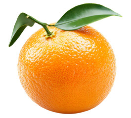 Orange png orange fruit png fresh orange png organic orange png ripe orange transparent background
