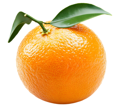Orange png orange fruit png fresh orange png organic orange png ripe orange transparent background