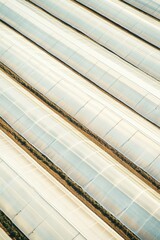 Obraz premium Minimalist Aerial View of Extensive Agricultural Greenhouses for Stock Photography and Design