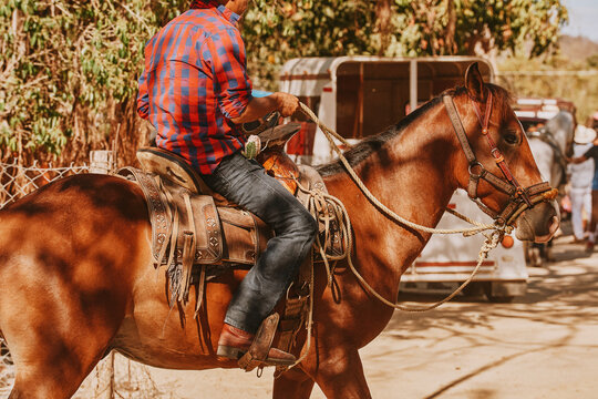 Hombre con camisa sobre un caballo