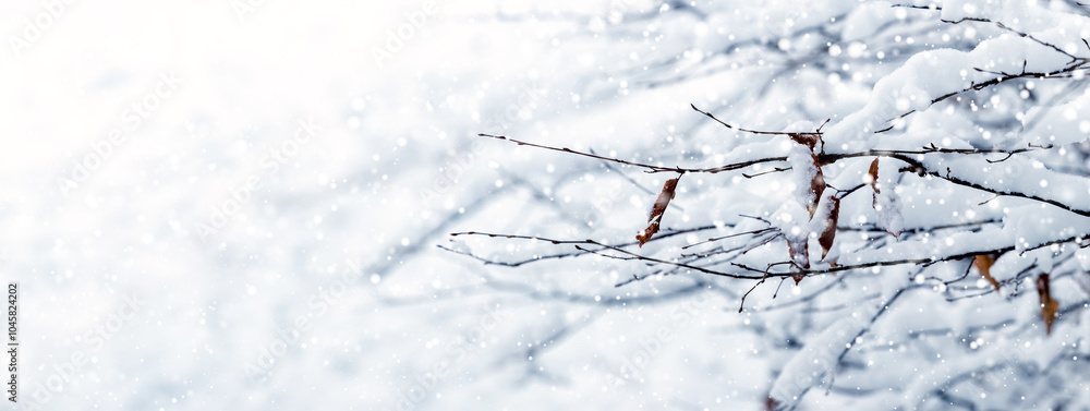 Poster covered with a thick layer of snow, thin branches of a tree with dry leaves during snowfall on a bac