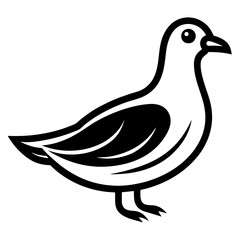 silhouette of  dove peace