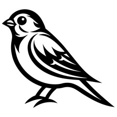 Obraz premium dove of peace