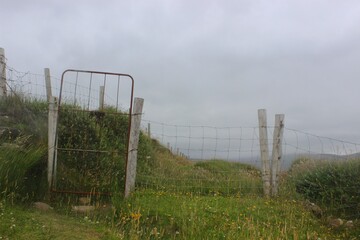 Foggy Gate on an Irish Hill