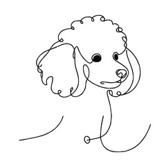 A simple continuous line drawing of a dog of the breed Toy Poodle. The artwork is minimalistic, capturing the essence of the object with a single unbroken line