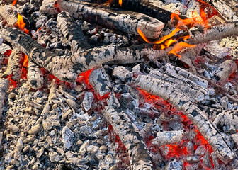 Wood Burning Down In An Outdoor Campfire