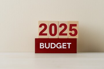 Budget planning for 2025 displayed with wooden blocks on a neutral background.