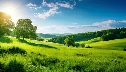 Obraz premium A serene summer day in the countryside with bright green meadows and lush trees under a clear blue sky. Generative AI