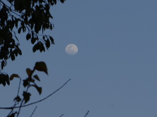 The Ultimate Moonlit Escape: Nature’s Night Show