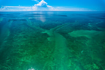 Aerial Drone Image of the entrance from Whale Harbor into Windley Harbor under the Overseas Highway in Islamorada seeing the wishbone channel for boats out into Florida bay and the Gulf of Mexico