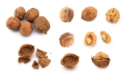 Walnut set isolated on white background. Close-up of various walnuts on a white background, including whole, cracked, and shelled nuts.