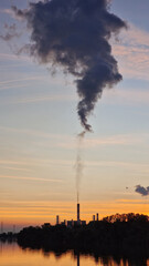 Plant on the river at sunset