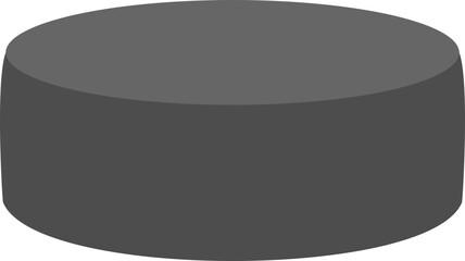 Hockey Puck