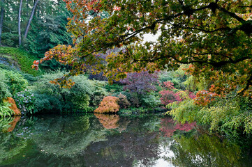 Beautiful autumn deciduous tree foliage in full red, orange and yellow colours in mid autumn in Butchart gardens, Victoria, BC