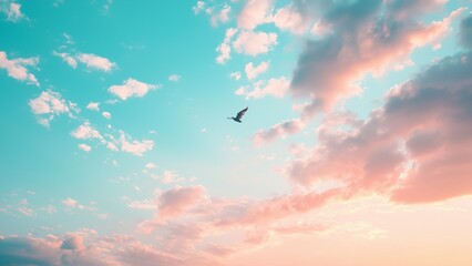 A wide-open sky with scattered clouds in soft pinks and blues featuring a lone bird soaring through, emphasizing freedom and relaxation