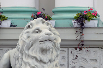 Stone lion in Chisinau, Moldova,  outside Organ Hall