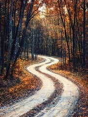 Obraz premium Autumn Path in the Woods