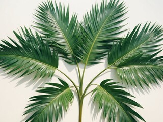 Tropical palm leaves on ivory background Summer concept Flat lay top view copy space.