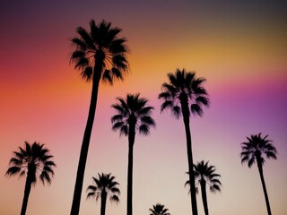 Obraz premium colorful gradient sky with palm tree silhouettes for peaceful designs.