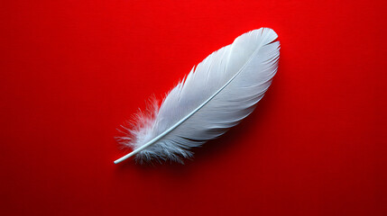 Obraz premium An enchanting white feather effortlessly floating in mid-air, surrounded by a vibrant red background, emitting a warm and inviting glow that inspires a sense of calm.