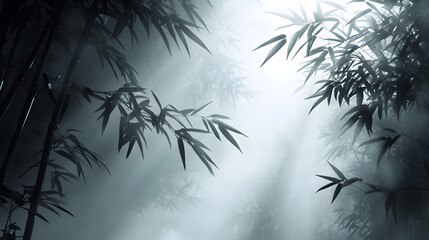 Obraz premium Artistic Representation of a Mysterious Misty Bamboo Forest Alight with Soft Fog and Light