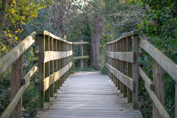 Fototapeta premium wooden bridge in the natural park of aiguamolls emporda in girona catalonia spain