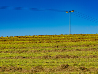 Strommast im Feld