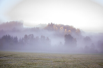 Emotional landscape a forest and meadow with fog after rain in the Czech republic, maybe crime scene