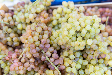 healthy agriculture grape fruit market food fresh juicy nature green nutrition harvest organic